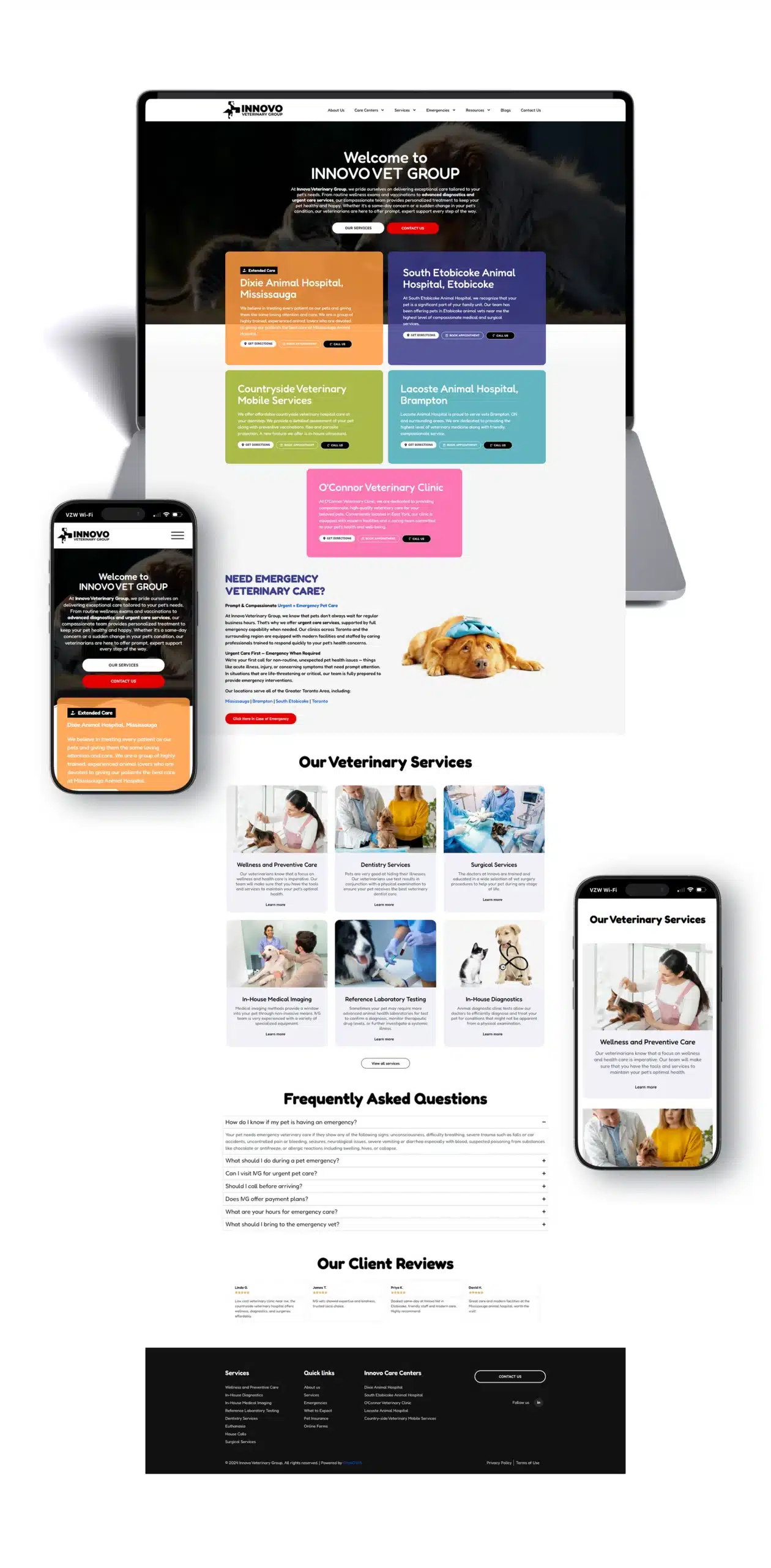 Innovovet SEO Showcase