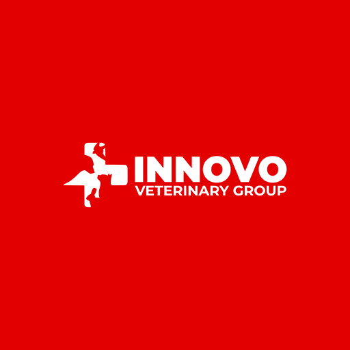 Innovovet SEO logo
