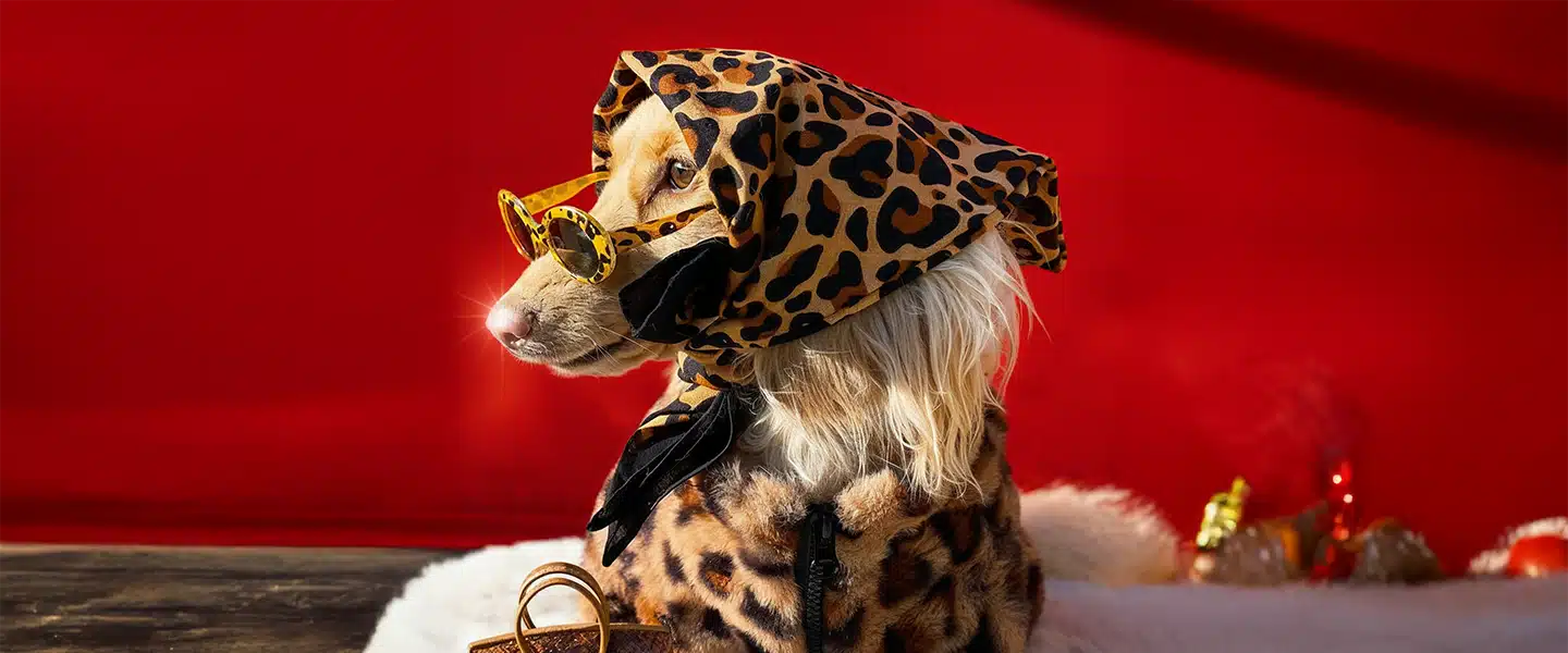 PetCare Partners SEO Hero Image