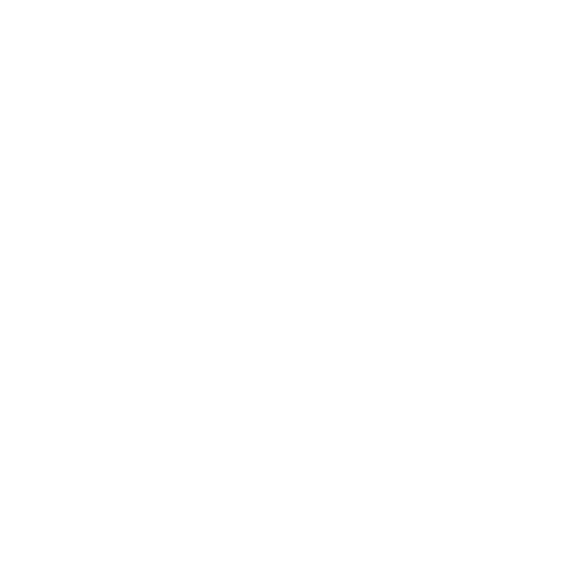 Report & Scale