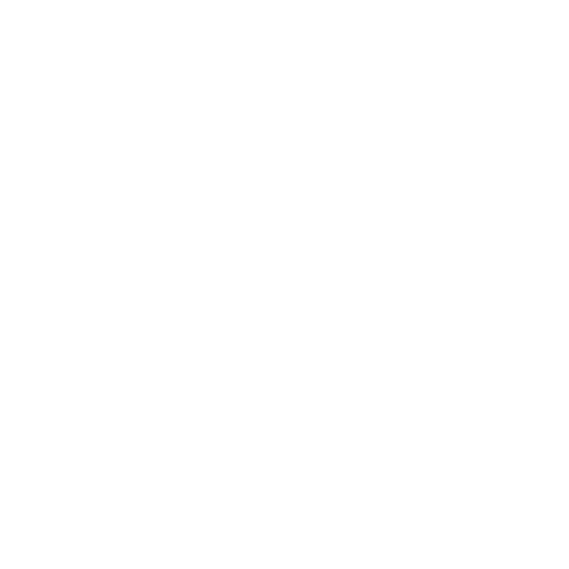 Google Display & YouTube Ads