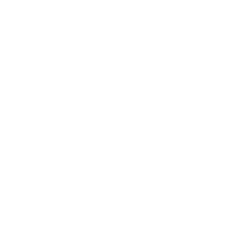 Report & Scale