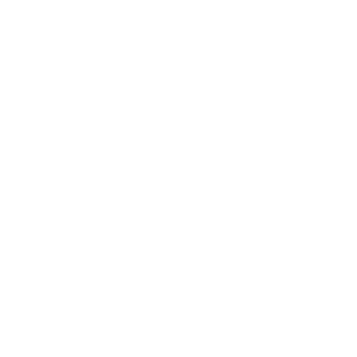 Performance & Core Web Vitals